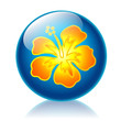 Aloha glossy icon