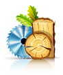 woodworking industry wood with circular saw