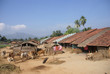 Homes and cattle Homes and cattle