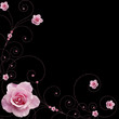 swirling rose vector