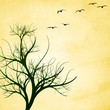 nature vector