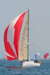 la course à la voile