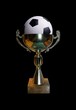 Coupe de football
