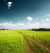 Road