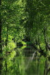 Spreewald