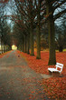 Herbst