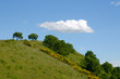 nuvola