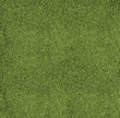 Texture football pitch
