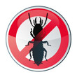 icone diagnostic termite / pas de termite