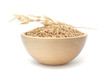 Bowl of Oats