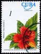 CUBA - CIRCA 1977 Hibiscus CUBA - CIRCA 1977 Hibiscus