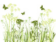 green background with grass and butterflies green background with grass and butterflies