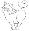 Katze, Kater, König, Krone, Haustier, Hauskatze