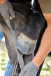 farrier