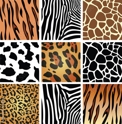 Vector: animal skin textures of tiger, zebra, giraffe, leopard and cow animal skin textures of tiger, zebra, giraffe, leopard and cow