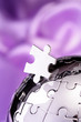 Jigsaw globe puzzle -Team work