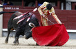 toros