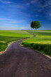 Country road