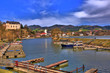 Blick auf Grein an der Donau