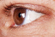 eye
