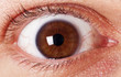 eye