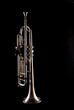 Trumpet