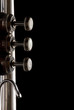 Trumpet