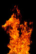 Fire Fire