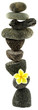 empilement zen galets, fleur et bois flotté, fond blanc