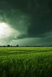 Sturmwolken über einem Feld
