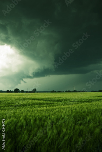 Photo: Sturmwolken über einem Feld Sturmwolken über einem Feld