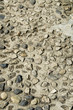original old floor