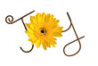 Wire Word: Joy