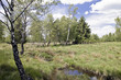 Naturpark Hohes Venn-Eifel