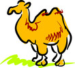 Camel