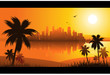 Miami summer background