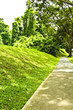 pathway,