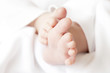 little feet of a newborn little feet of a newborn