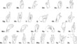 Alphabet de la langue des signes Alphabet de la langue des signes