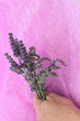 Bouquet de lavande