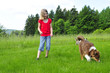 Wiese Hund Kind lernern