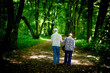 Elderly couple walking in the spring park