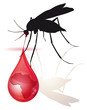 Vector: malaria malaria