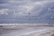 Surfer
