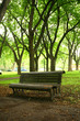 Bench