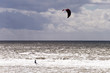 Surfer