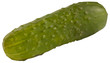 Vector cucumber