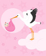 Stork carrying a baby girl