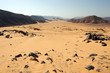 synai desert
