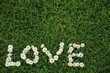 liebe vergeht nicht